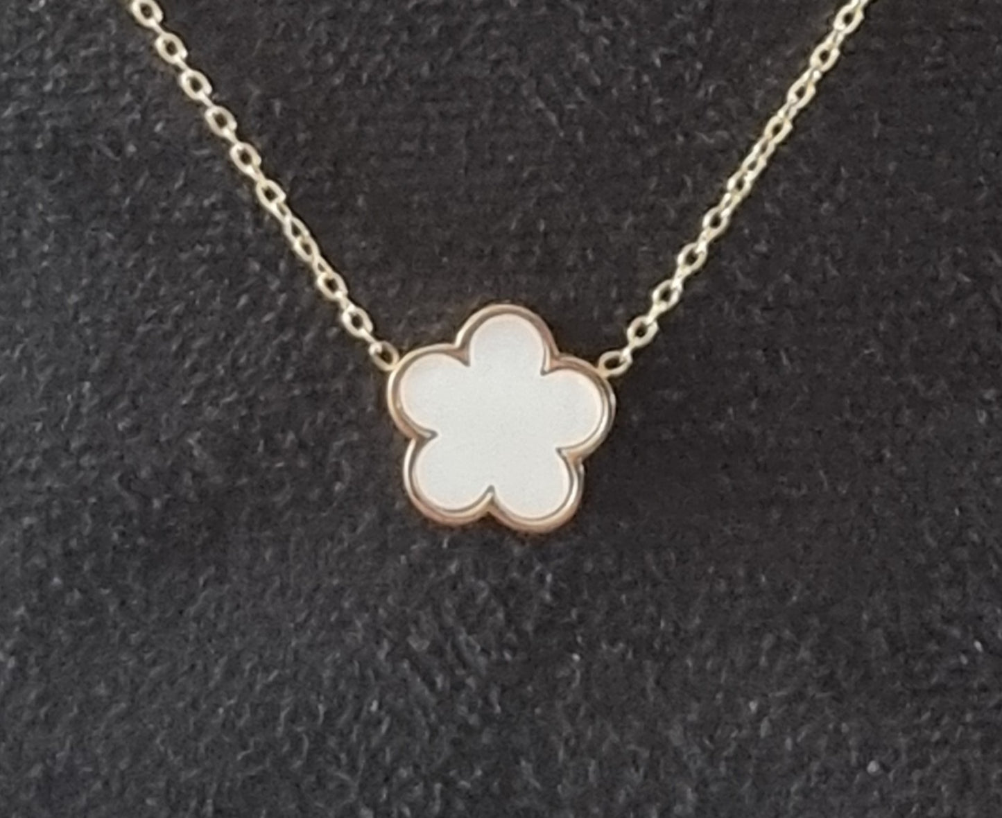 Collier Clévia