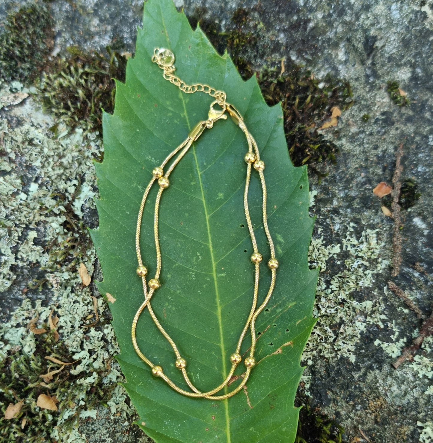Eolia