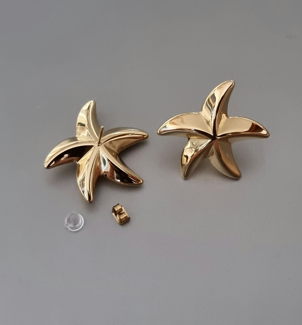 Boucle d'Oreilles Etoile de Mer