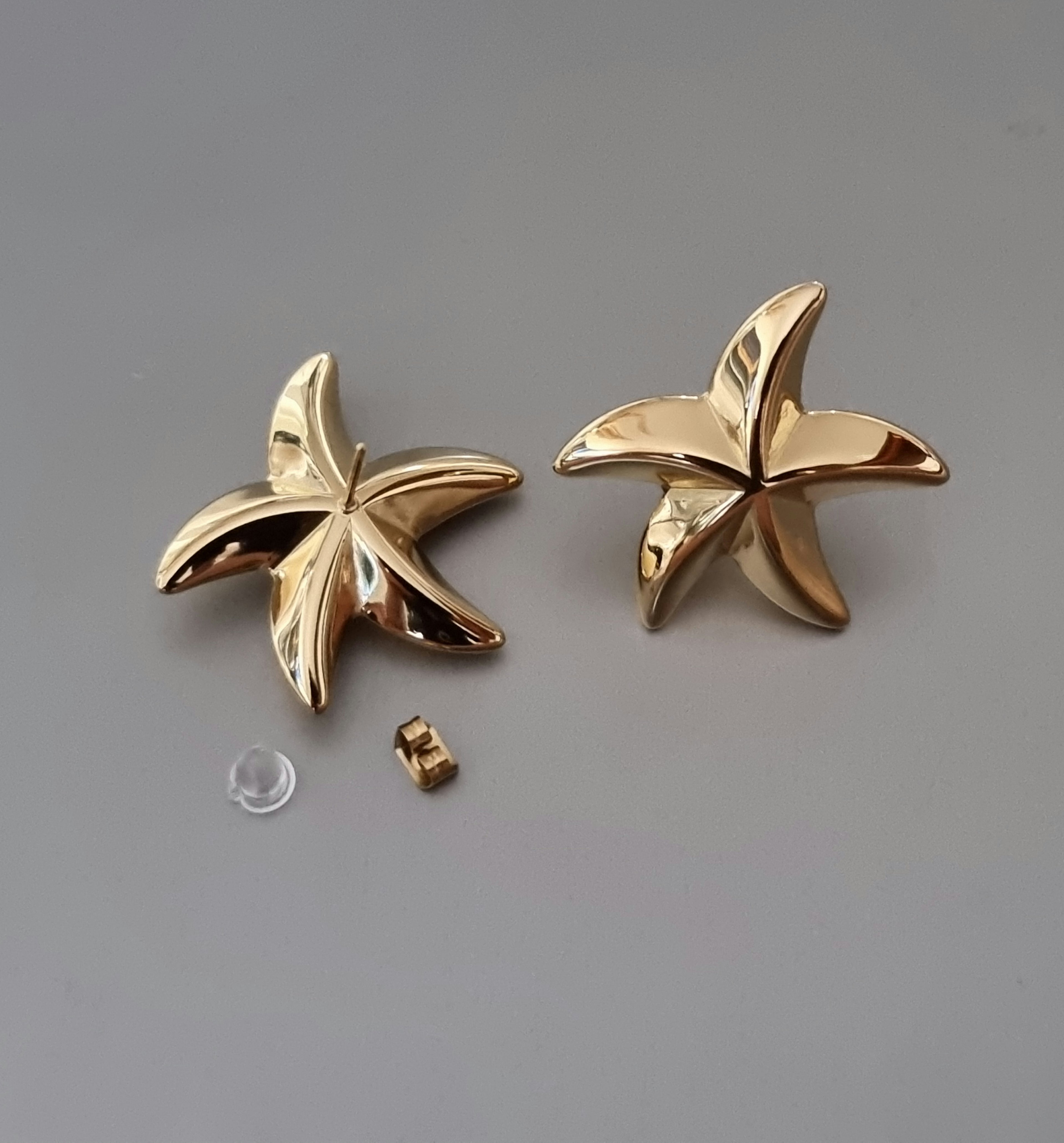 Boucle d'Oreilles Etoile de Mer