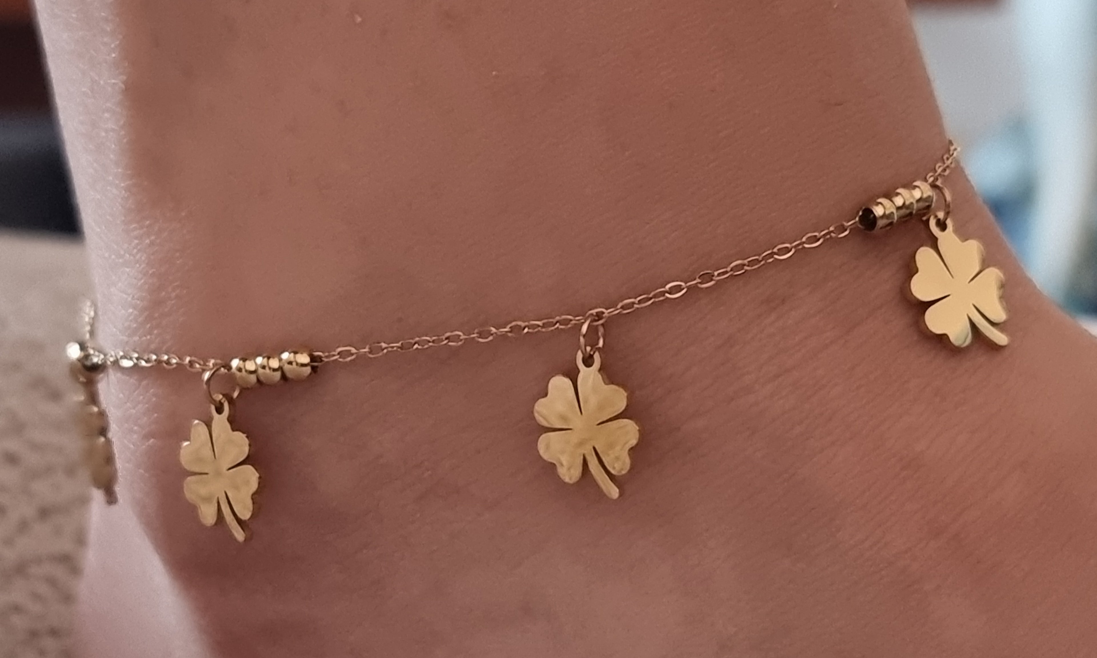 Chaîne de Cheville Dublin