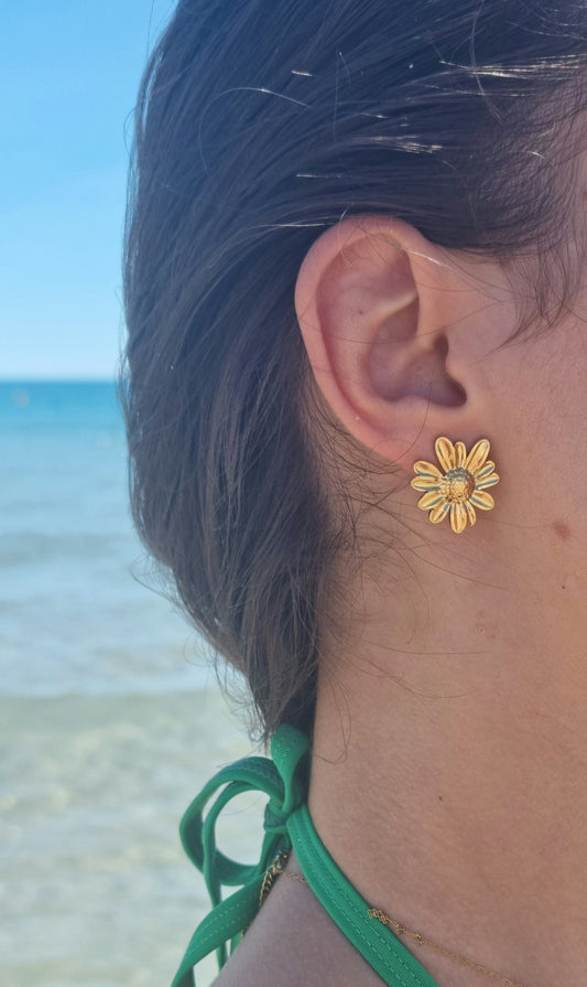 Boucles d'Oreilles Cala