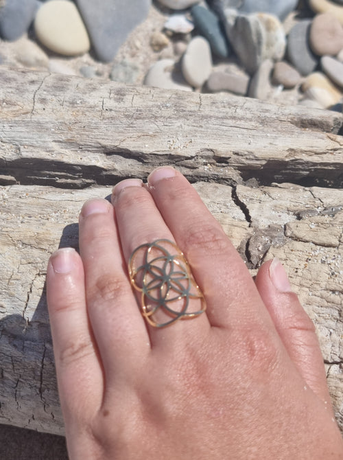 Bague Prismia