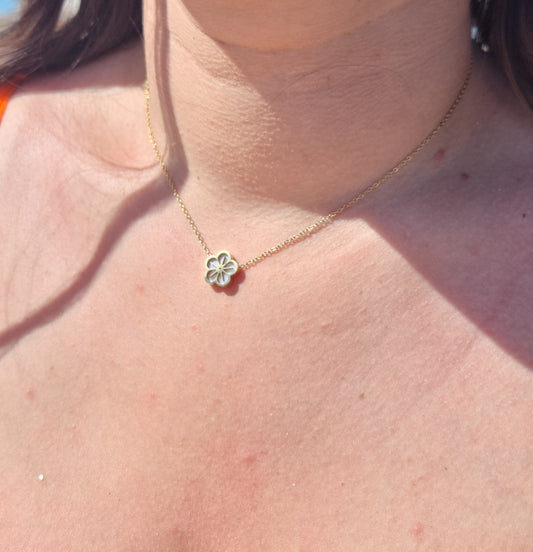 Collier Clévia