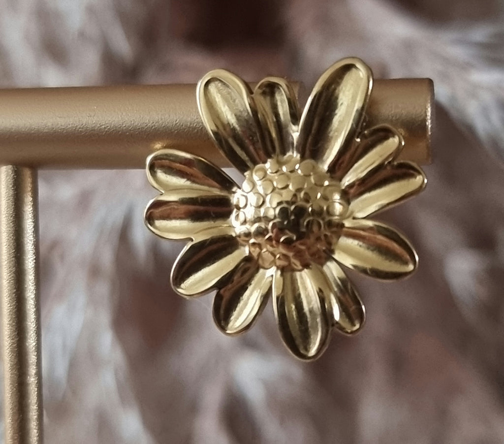 Boucles d'Oreilles Cala